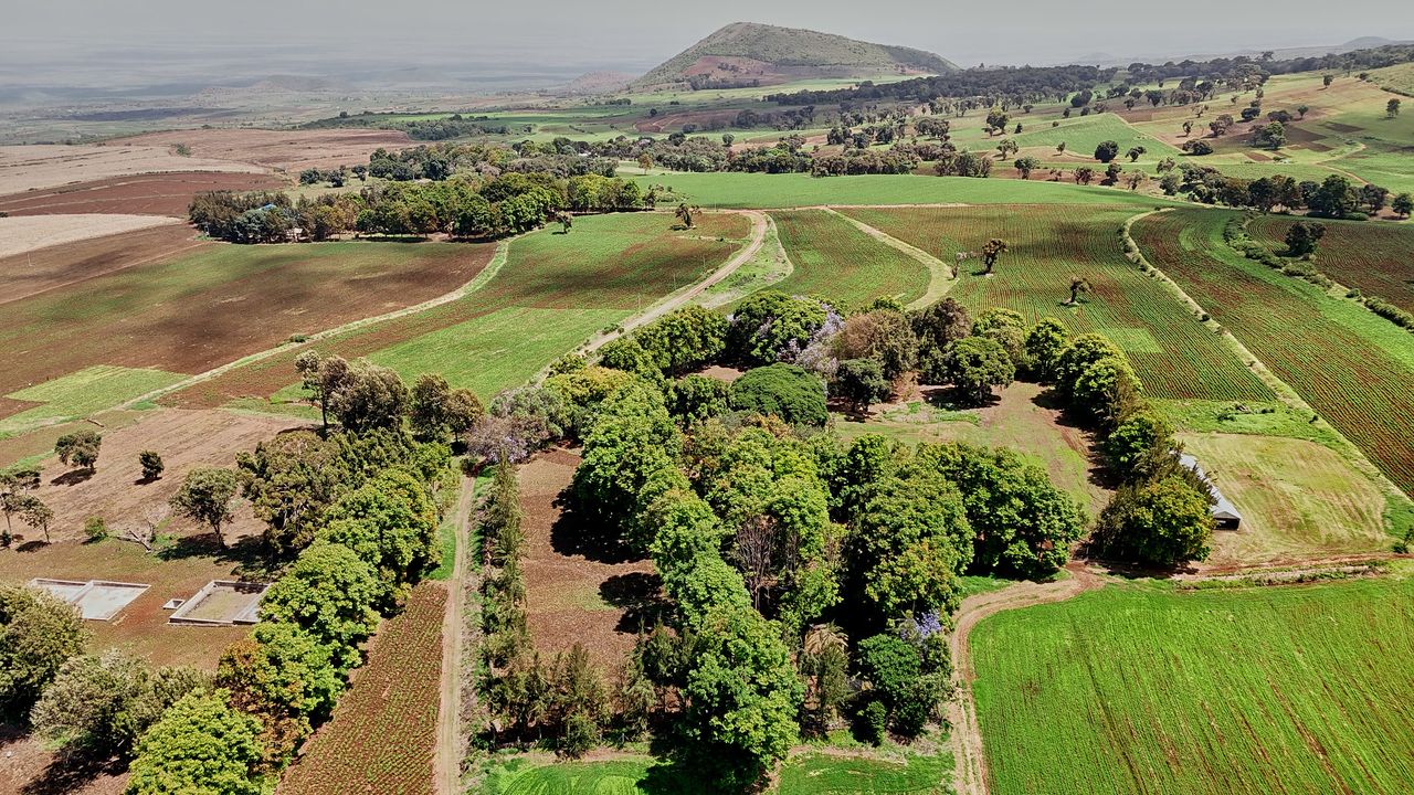 2000 Acres Agricultural Investment Farm for sale in West Kilimanjaro